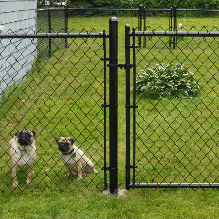 prison mesh
