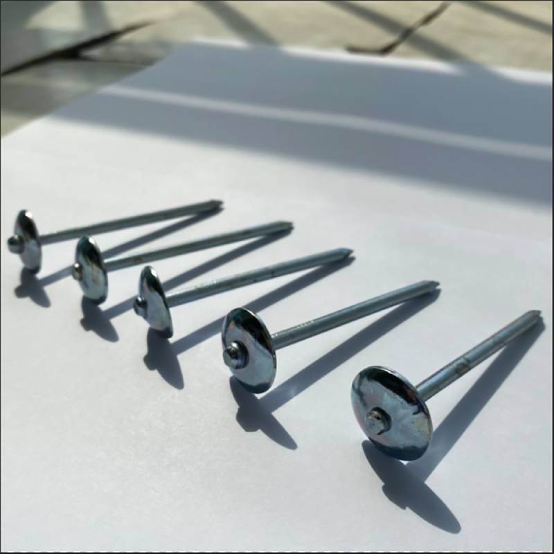 Roofing Nails