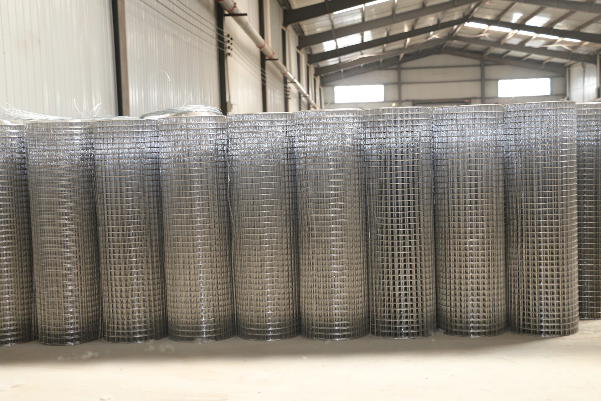 galvanised welded wire mesh roll