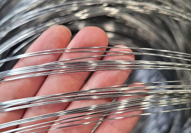 galvanized chicken wire mesh
