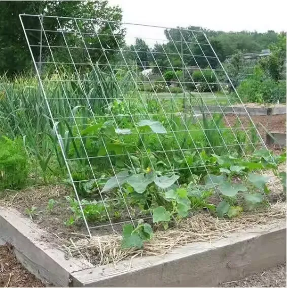 wire screen cloth