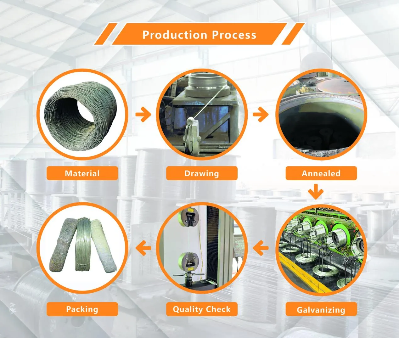 welded wire mesh products