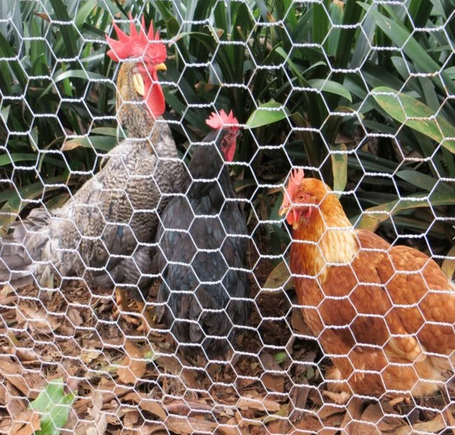 Barbed Wire Fence Innovations in Anti-Climb Technology