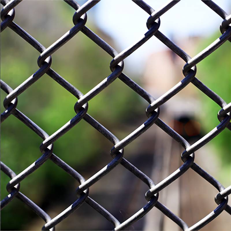 wiremesh custom