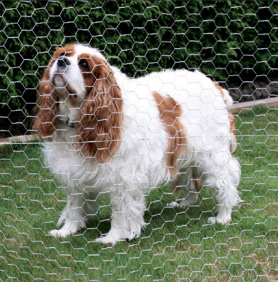 post for barbed wire
